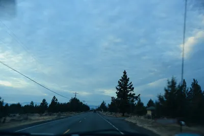 DSC_3120 (Large).JPG